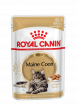 Maine Coon Adult (в соусе)