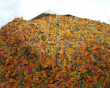 TetraMin Crisps, корм для всех видов рыб, чипсы